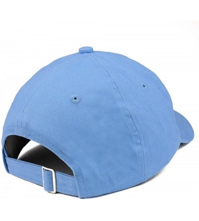 Baseball Caps Vintage 1955 Embroidered 65th Birthday Relaxed Fitting Cotton Cap - Carolina Blue - CM180ZMSMLL $21.81