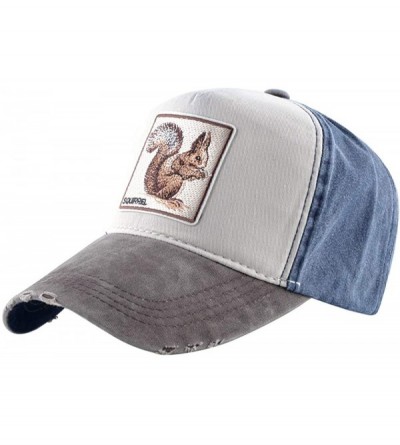 Baseball Caps Unisex Animal Embroidered Baseball Caps Strapback Square Patch Dad Hat - Grey Blue Squirrel - CU18S43TWKM $33.96
