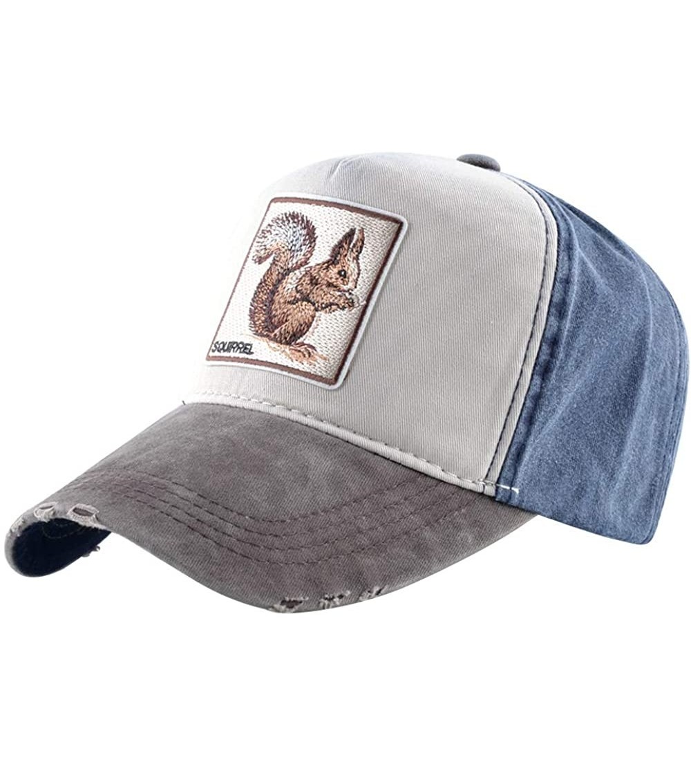 Baseball Caps Unisex Animal Embroidered Baseball Caps Strapback Square Patch Dad Hat - Grey Blue Squirrel - CU18S43TWKM $16.59